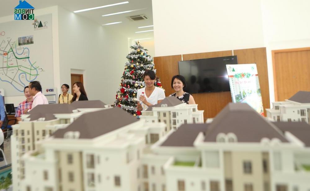 Ảnh Ánh Viên bất ngờ ghé thăm căn hộ được tặng