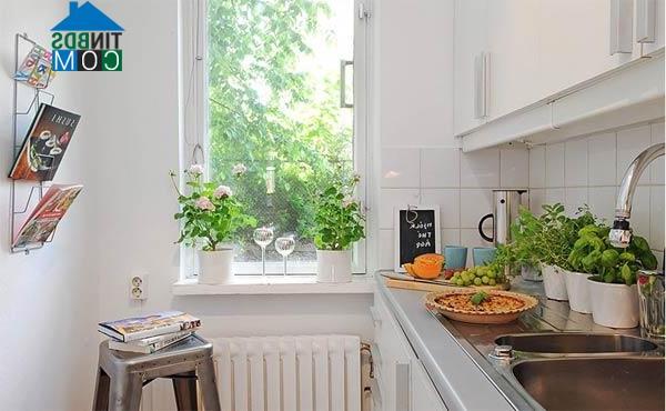 Mỗi phần không gian đều rất nhỏ nhưng vẫn khoa học và tiện sử dụng