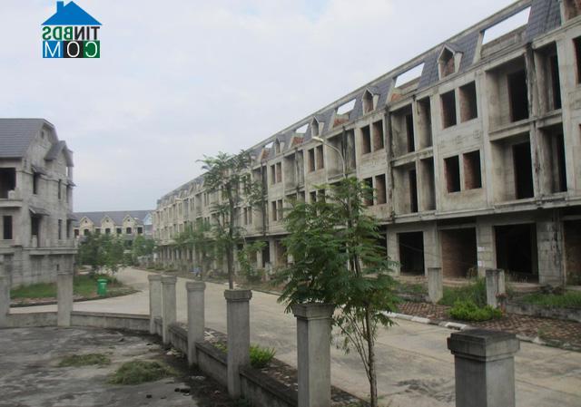 Cả dãy nhà phố liên kề bị bỏ hoang, cỏ dại đã mọc quanh các chân tường
