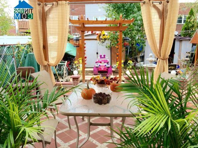 Ảnh Khu vườn nhỏ của gia đình Việt ở Mỹ gợi nhớ quê nhà