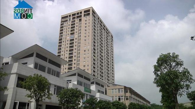 Ảnh Người mua nhà hoang mang giữa "ma trận" thông tin