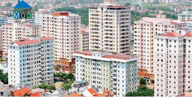 Ảnh Tỷ lệ hấp thụ toàn thị trường Tp.HCM tăng mạnh