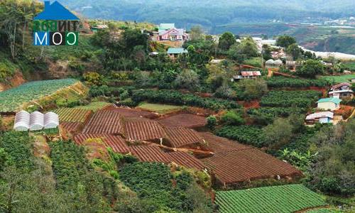 Ảnh 4 kênh bất động sản sẽ "lên ngôi" trong năm 2016