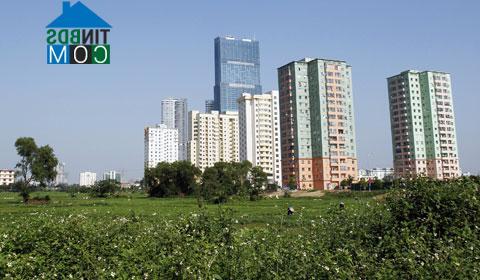 Ảnh Hà Nội: Đất đấu giá ở Di Trạch có giá trên 25 triệu đồng/m2