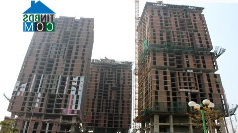 Ảnh Dự án Usilk City bị yêu cầu thanh tra toàn diện