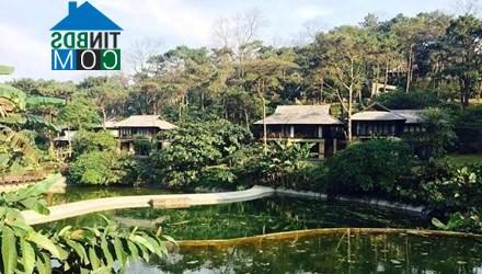 Ảnh Hà Nội chỉ đạo kiểm tra các khu biệt thự, resort tại Ba Vì