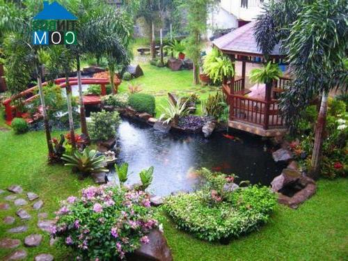 Một hồ nước nhỏ sẽ giúp không gian sân vườn đẹp hơn