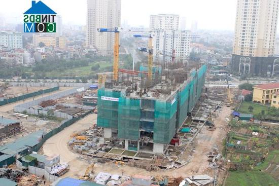 Các dự án BĐS đang xây dựng phải chịu giá thép cao