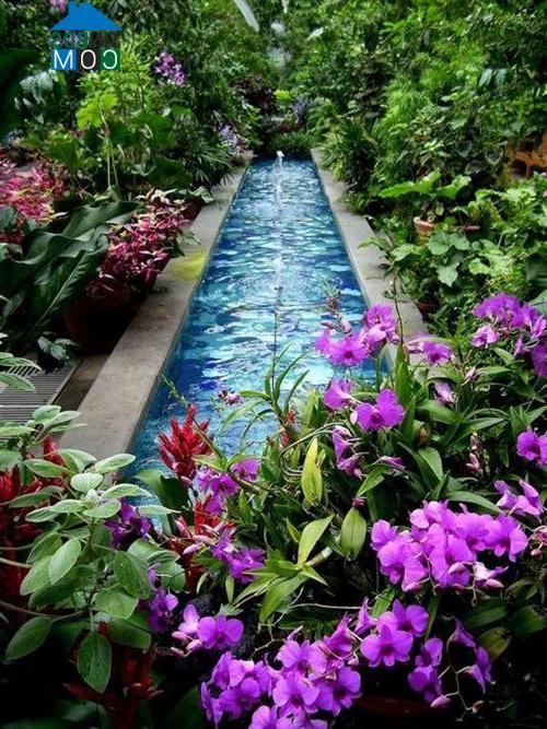 Bạn hoàn toàn có thể thiết kế một khu vườn nhiệt đới với các loại hoa lá và hồ nước