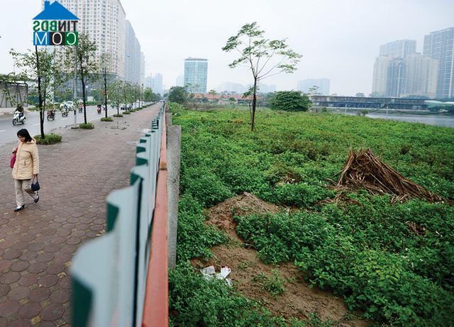 Ảnh Xót xa hai khu đô thị “khủng” để hoang của Tập đoàn Nam Cường