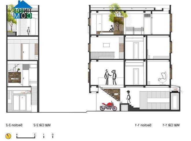 Thiết kế mặt cắt 1-1