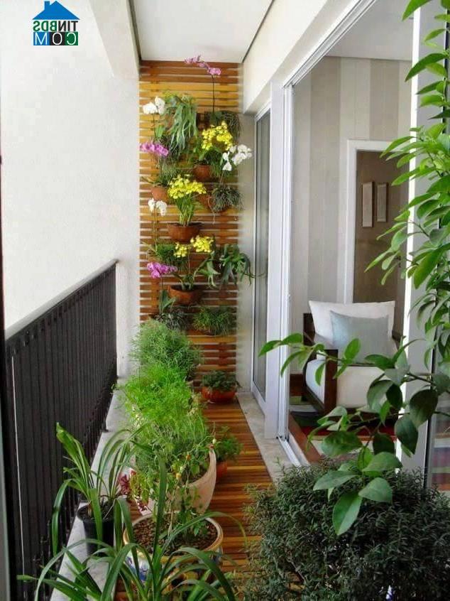 Ảnh Five Star Garden: Mừng cất nóc - Tặng bếp Âu