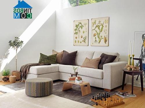 Bộ sofa trẻ trung, cá tính làm tươi mới không gian