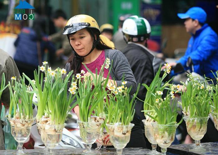 Ngoài vẻ đẹp kiêu sa, hoa thủy tiên còn khử tà khí và mang đến an lành