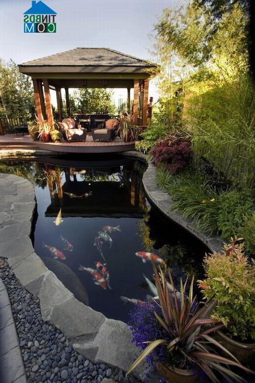 Hồ nước hiền hòa với những chú cá vàng tung tăng bơi lội đem lại vẻ đẹp tĩnh lặng cho không gian sân vườn