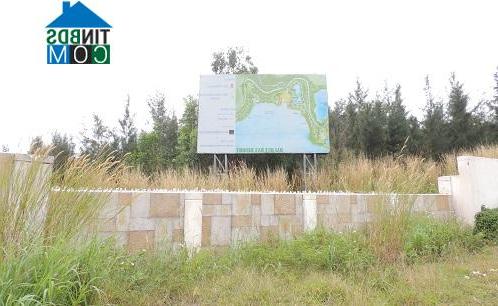 Ảnh Điểm mặt loạt dự án hoành tránh “chết yểu” ở Đà Nẵng