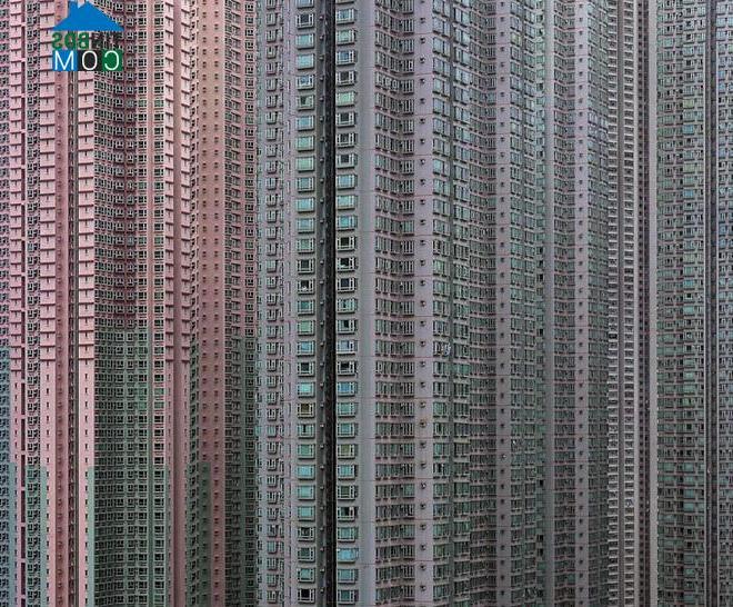 Ảnh Mật độ các chung cư ở Hong Kong dày đặc đến đáng sợ