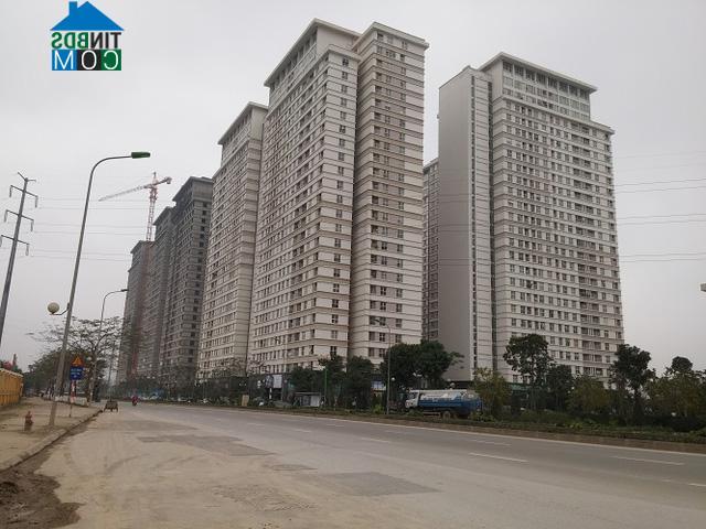 Ảnh Xót xa hai khu đô thị “khủng” để hoang của Tập đoàn Nam Cường