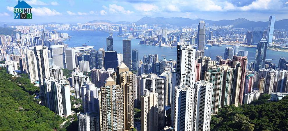 Ảnh Đầu năm 2016, doanh số bán nhà tại Hong Kong giảm sâu kỉ lục