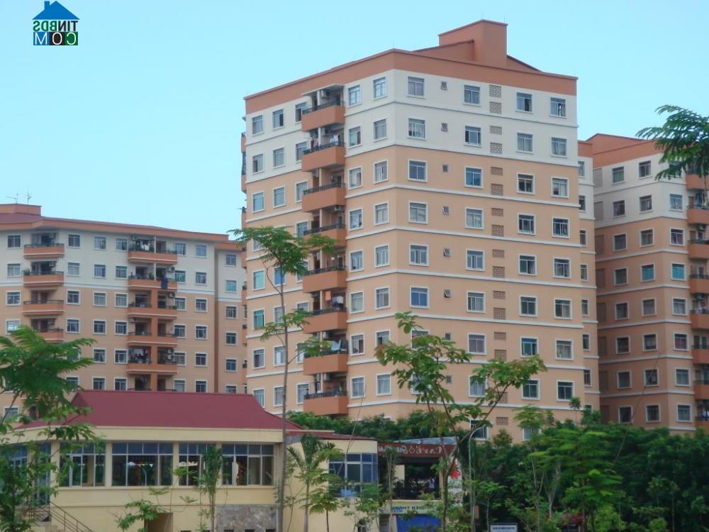 Ảnh Chủ tịch Hiệp hội BĐS Việt Nam: Giá chung cư đã trở về giá trị thực