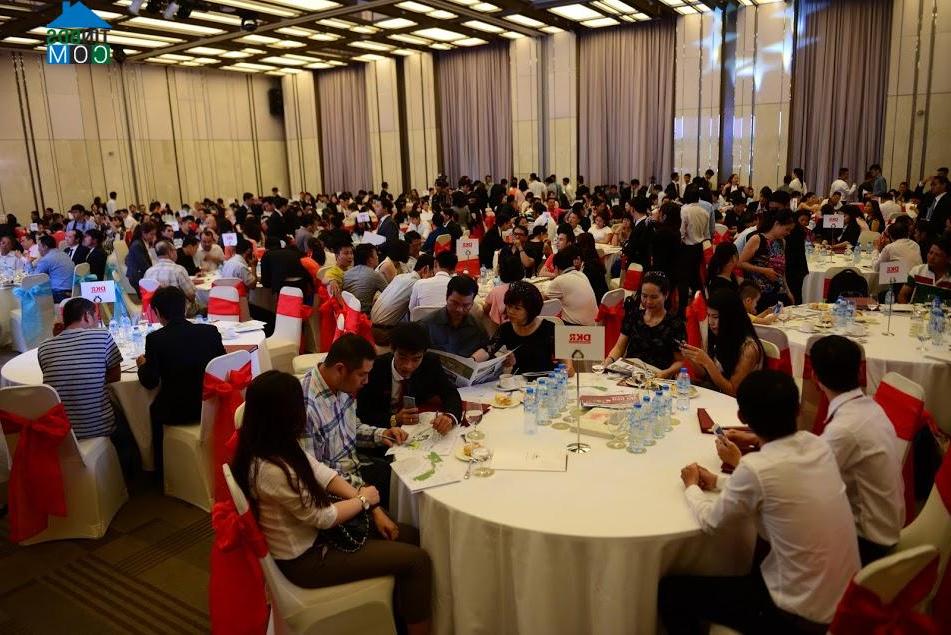 Ảnh Ra mắt chính thức dự án Queen Pearl