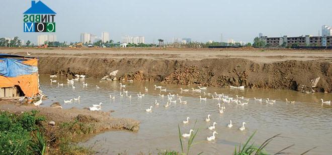 Ảnh Hà Nội: Đất nền có dấu hiệu tạo "sóng" mới