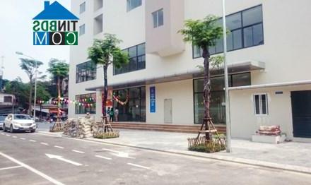Ảnh Cư dân từ chối nhà mới vì giá quá "chát"?