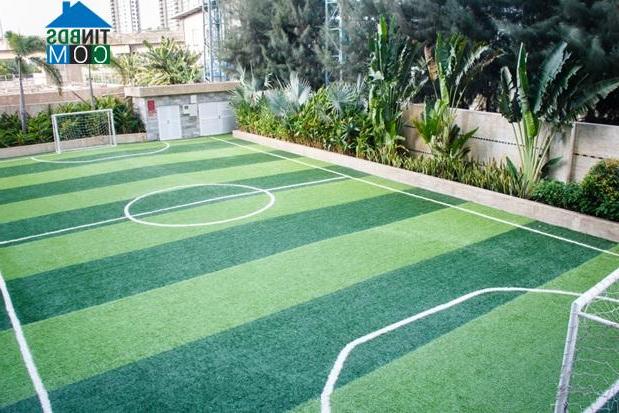 Ảnh Căn hộ Docklands Saigon: Pháp lý bảo đảm vì đã có sổ hổng từng căn