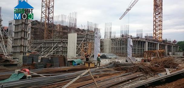Tiến độ thi công dự án