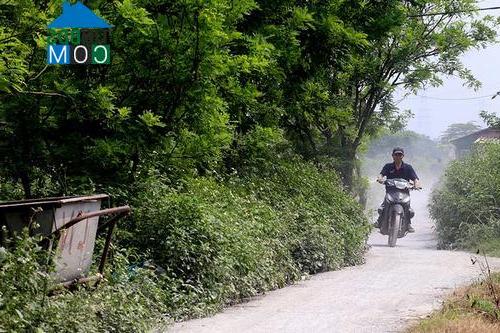 Image ảnh "Sốc" với khu biệt thự giữa thủ đô 2 năm không có nước