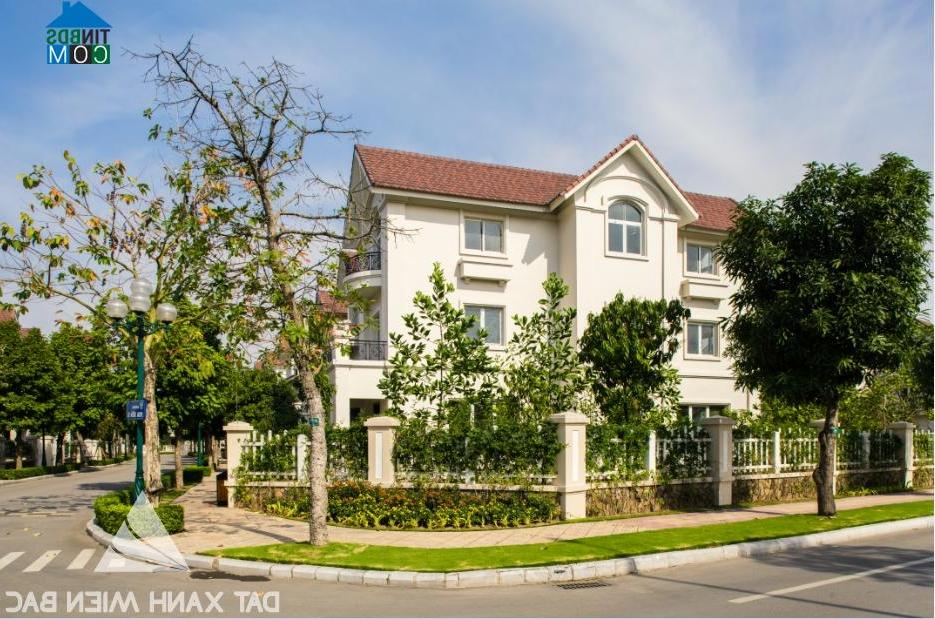 Ảnh Phân khúc biệt thự cho thuê tăng sức hút