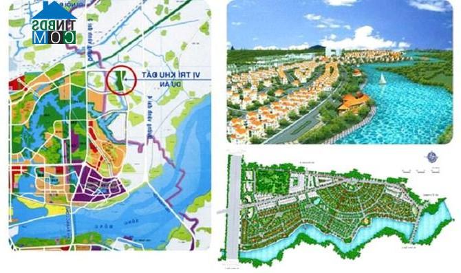 Ảnh Mê Linh: Dân nuôi bò thoải mái trong khu biệt thự hoang