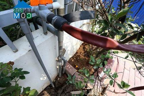 Ảnh "Sốc" với khu biệt thự giữa thủ đô 2 năm không có nước