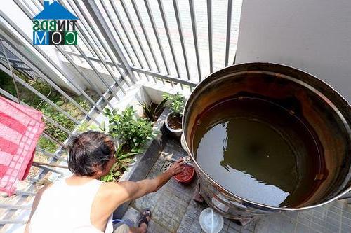 Ảnh "Sốc" với khu biệt thự giữa thủ đô 2 năm không có nước
