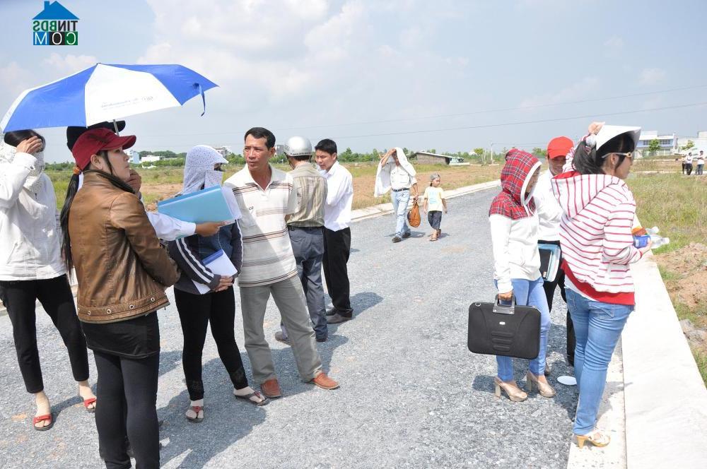 Ảnh Nỗi niềm người đi mua đất