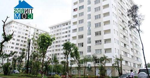 Ảnh Thuê, mua nhà ở xã hội: Nên liên hệ trực tiếp với chủ đầu tư