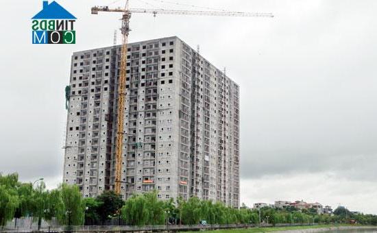 Ảnh Sốc với tỷ lệ “chọi” nhà ở xã hội cho thuê
