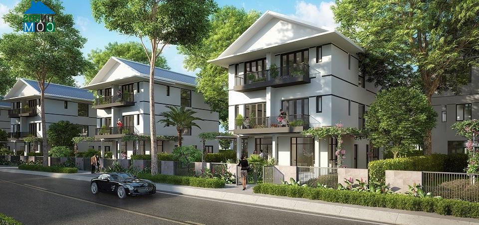 Ảnh Những dự án giao dịch tốt nhất phía Tây Hà Nội