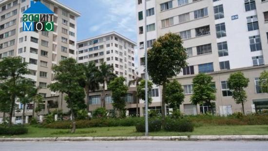 Ảnh Thị trường nhà ở xã hội cho thuê rất tiềm năng