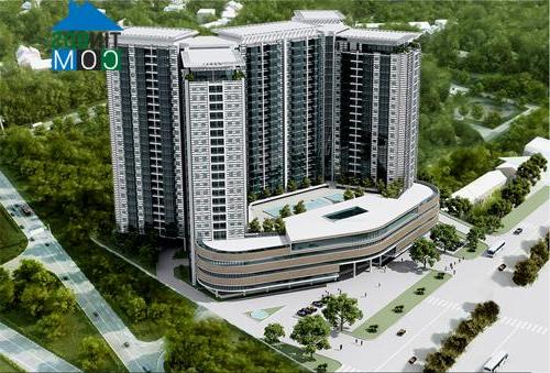 Ảnh Hung Thinh Corp chi 245 tỷ đồng mua lại dự án Chương Dương Golden Land