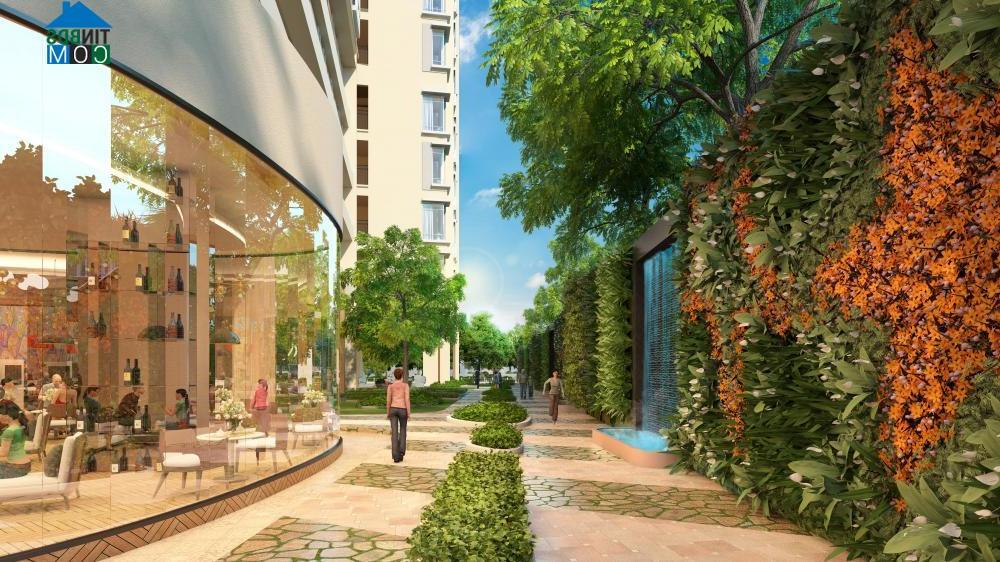 Ảnh Lý do khiến căn hộ The Golden Star hấp dẫn người mua