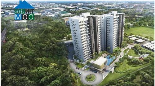 Ảnh VSIP - Thương hiệu khu công nghiệp kiểu mẫu và sự chuyển mình ngoạn mục