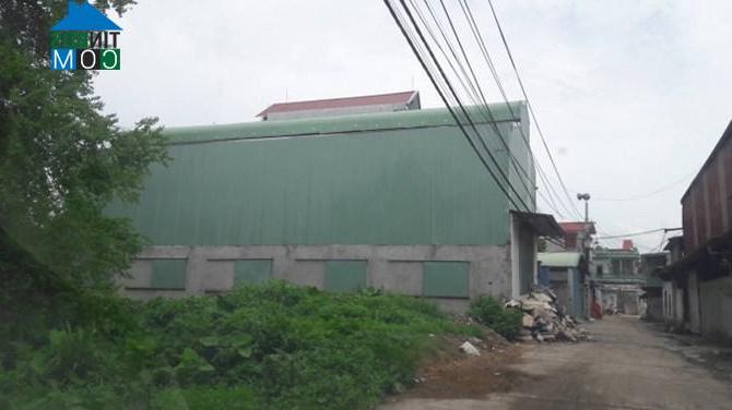 Ảnh Hà Nội: Nhà xưởng mọc la liệt trên đất nông nghiệp tại huyện Thanh Oai