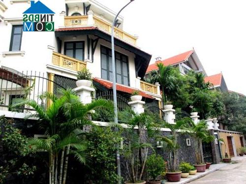 Ảnh Nhà 1m2 phố cổ giá đắt ngang khu đất vàng ở Châu Âu