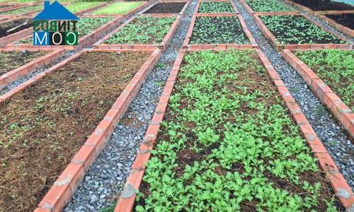 Ảnh Phân khúc BĐS nào có thể bứt phá mạnh cuối năm 2016?