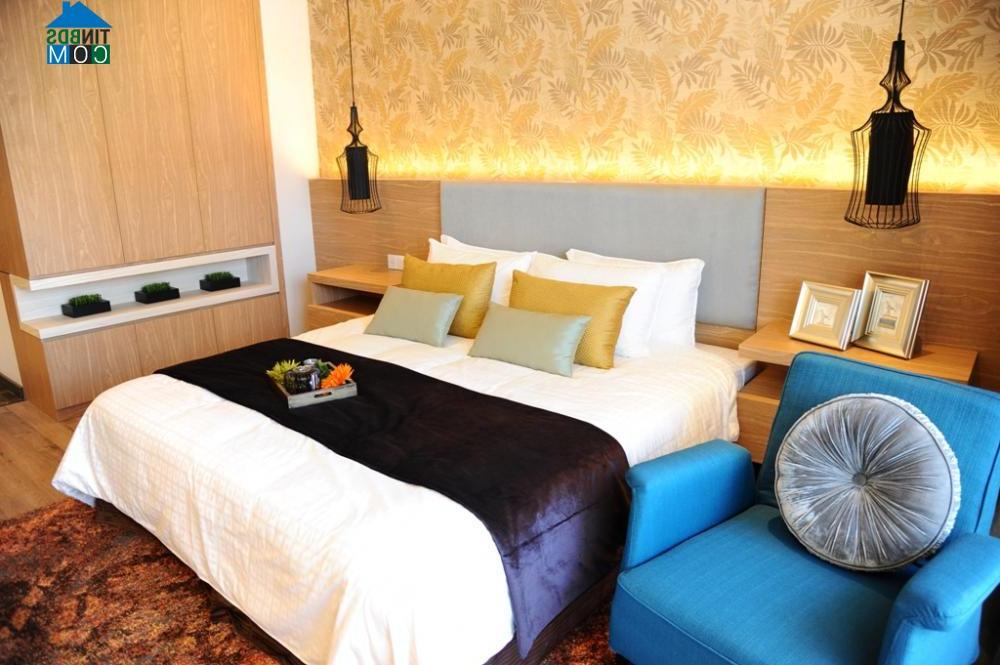 Ảnh Khai trương căn hộ - khách sạn mạ vàng Hoà Bình Green Đà Nẵng