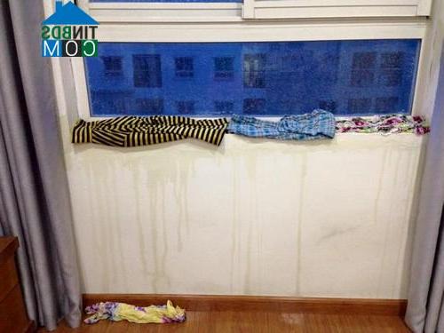 Người dân phải dùng giẻ lau để ngăn nước tràn vào nhà qua cửa sổ