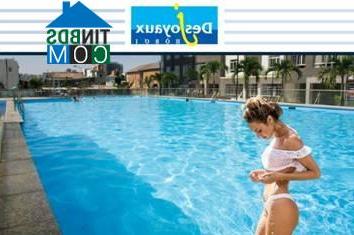 Hồ bơi sang trọng và đẳng cấp