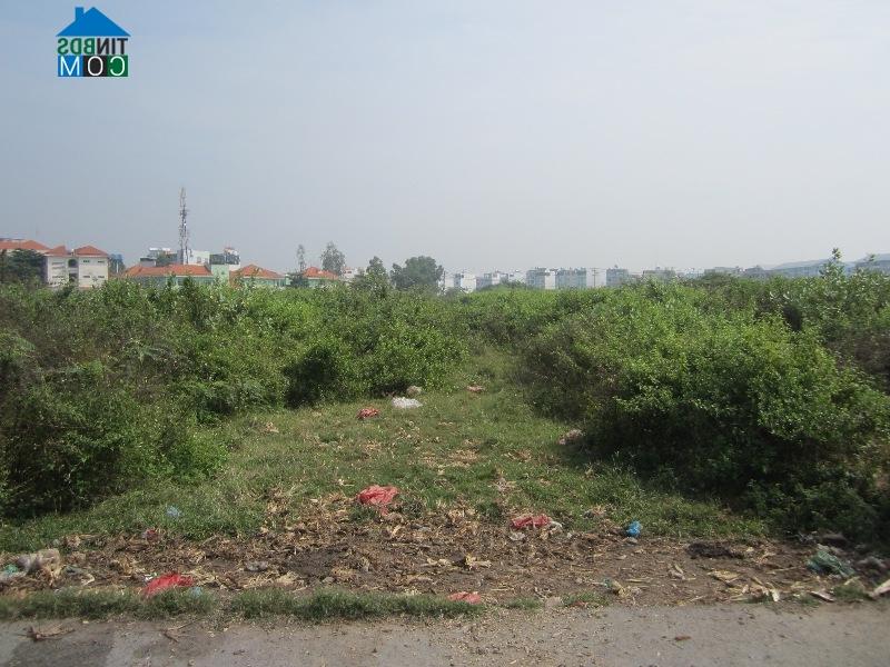 Ảnh Tp.HCM: Điều chỉnh quy hoạch khu dân cư Bình Trưng Đông và Cát Lái