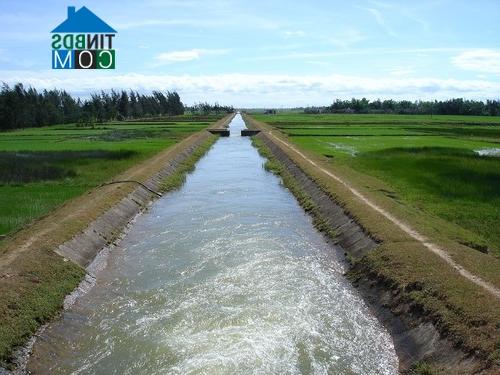 Ảnh Thường Tín (HN): Đến 2020, hơn 1.700 ha đất nông nghiệp được chuyển đổi